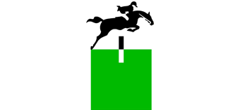 BMW South Africa Logo