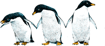 The Cold Chain Penguin