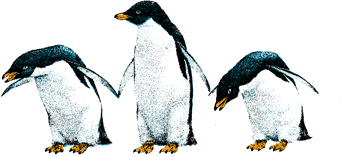 The Cold Chain Penguin