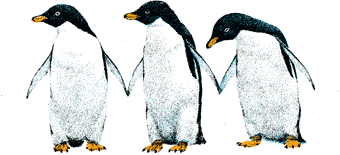 The Cold Chain Penguin