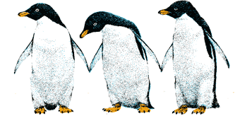 The Cold Chain Penguin