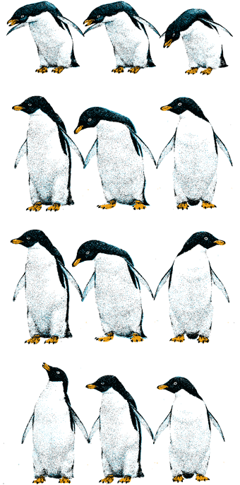 The Cold Chain Penguin